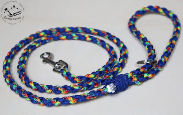 laisse en paracorde pour chien