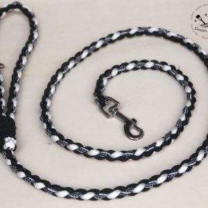 laisse en paracorde pour chien