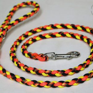 laisse en paracorde pour petit chien