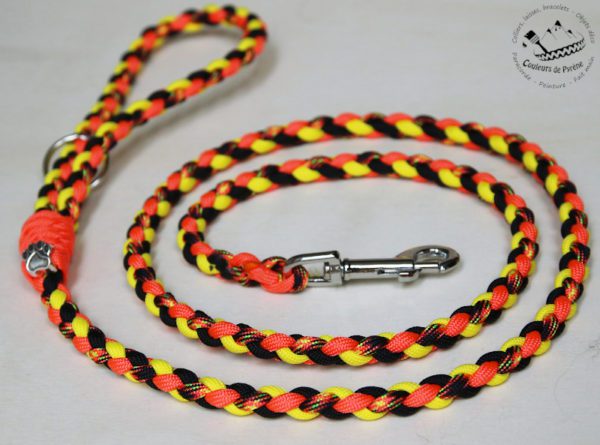 laisse en paracorde pour petit chien