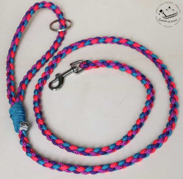 laisse en paracorde pour chien