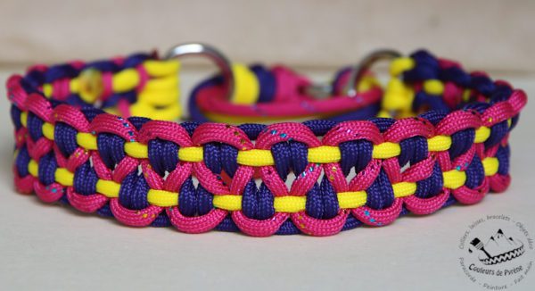 collier en paracorde pour chien