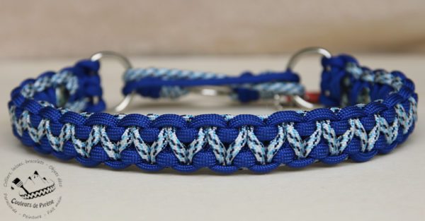 collier en paracorde pour chien