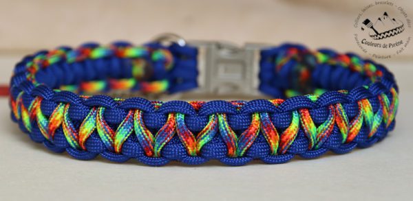 collier en paracorde pour chien