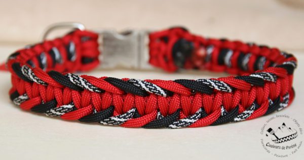 collier en paracorde pour chien