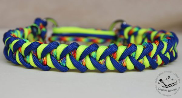 collier pour chien en paracorde