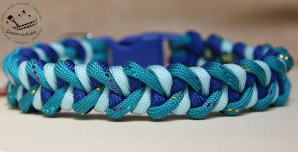 collier en paracorde pour chien