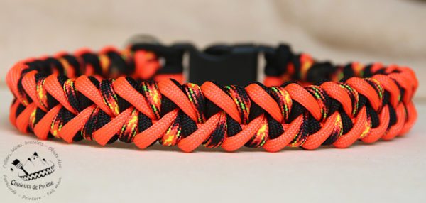 collier en paracorde pour chien
