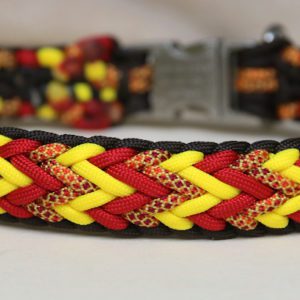 collier en paracorde pour chien