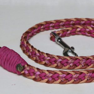 laisse en paracorde pour chien
