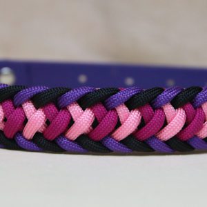 collier en paracorde et biothane pour chien