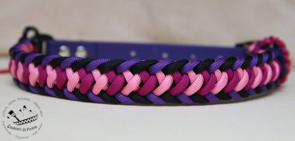 collier en paracorde et biothane pour chien