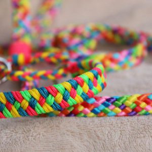 laisse lasso en paracorde