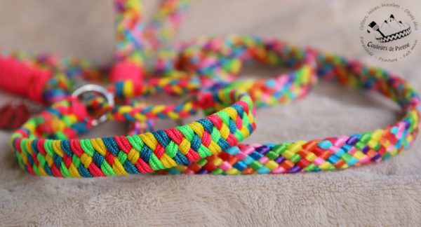 laisse lasso en paracorde
