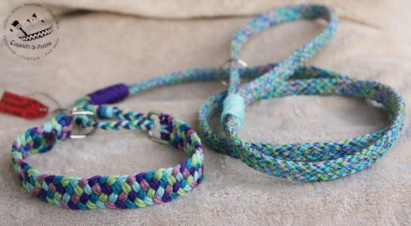 laisse lasso en paracorde
