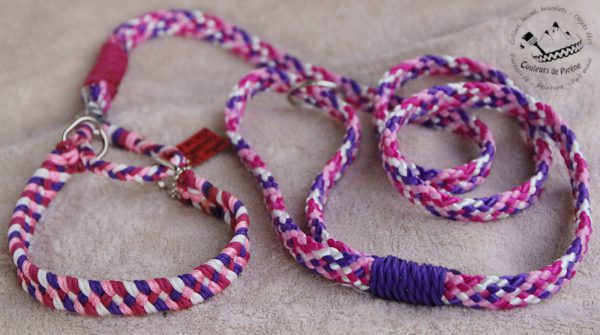 laisse lasso en paracorde