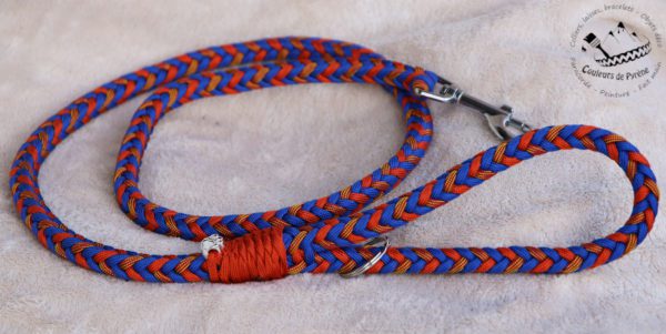 laisse en paracorde pour chien