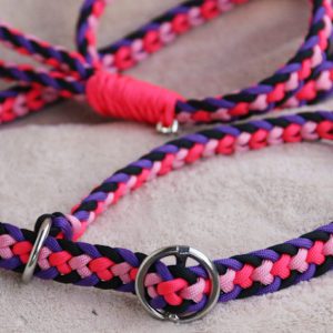 laisse lasso en paracorde