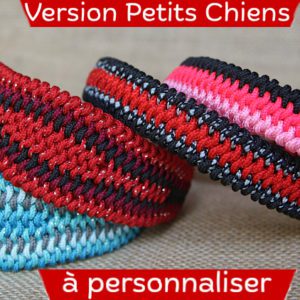 Collier pour lévrier à personnaliser