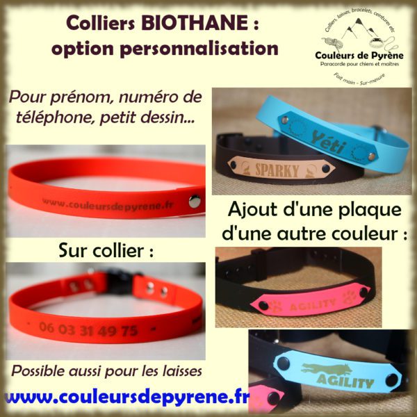 collier personnalisé en biothane pour chien