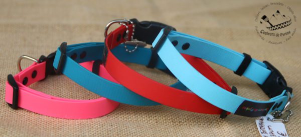 collier en biothane pour chien