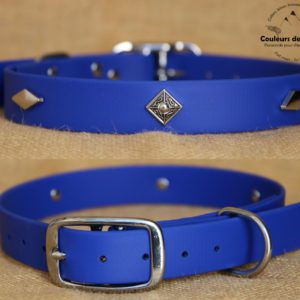 collier en biothane pour chien