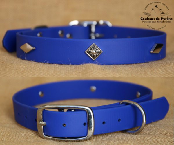 collier en biothane pour chien