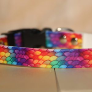 collier en biothane imprimée