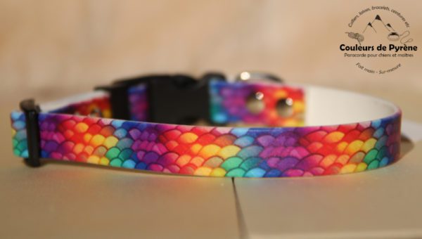collier en biothane imprimée