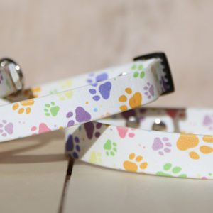collier en biothane