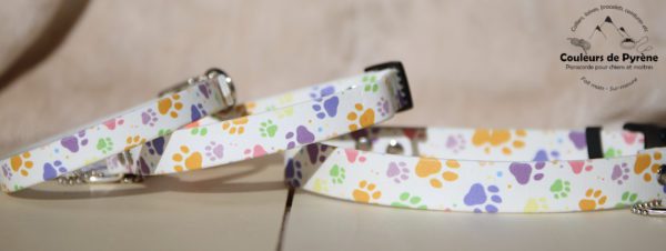 collier en biothane