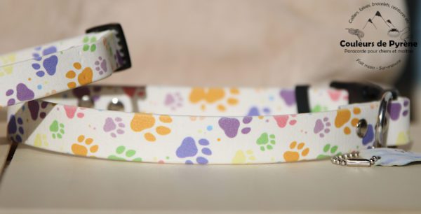collier imprimé pour chien
