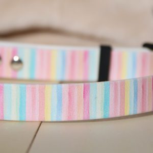 collier en biothane