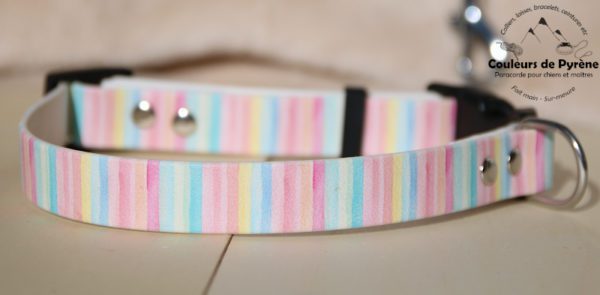collier en biothane