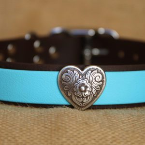 Collier en biothane pour grand chien