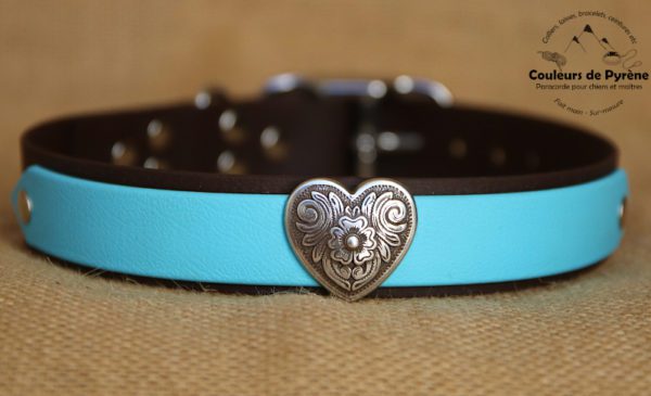 Collier en biothane pour grand chien