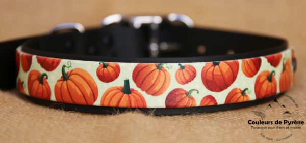 collier en biothane Halloween