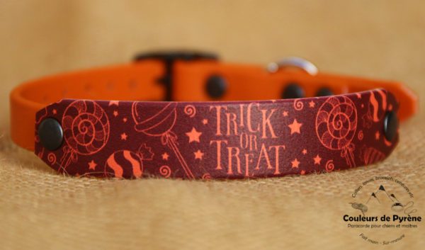 collier en biothane Halloween