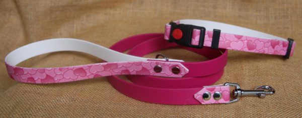 laisse et collier en biothane