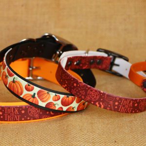 collier Halloween en biothane