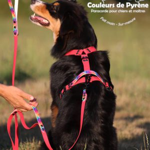 A personnaliser : Harnais BIOTHANE hexa, réglable - A partir de :