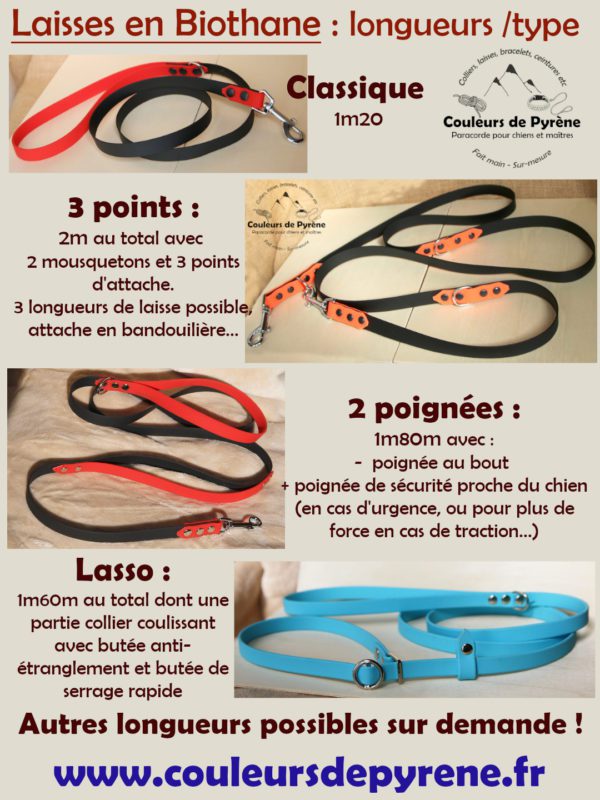 laisse en biothane