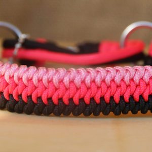 collier en paracorde pour petit chien