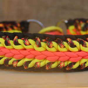 collier en paracorde pour chien