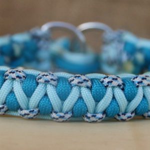 collier en paracorde pour chien