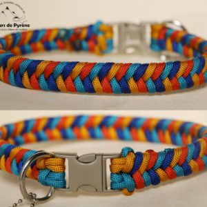 collier en paracorde pour chien