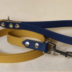 laisse bicolore en biothane