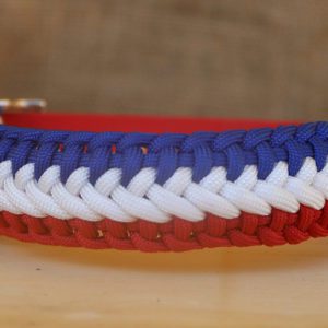 collier en paracorde pour chien