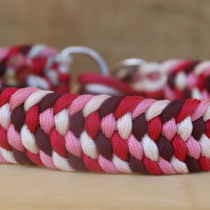 collier en paracorde pour chien