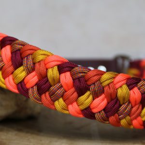 collier en paracorde pour très grand chien